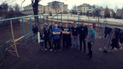 Площадка для воркаута в городе Кострома №4903 Средняя Советская фото