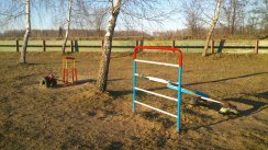 Площадка для воркаута в городе Береза №2764 Большая Советская фото