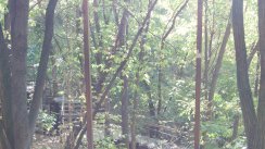 Площадка для воркаута в городе Киев №4373 Маленькая Современная фото