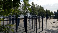 Площадка для воркаута в городе Петрозаводск №5223 Большая Легендарная фото