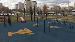 Площадка для воркаута в городе Москва №2819 Маленькая Хомуты фото