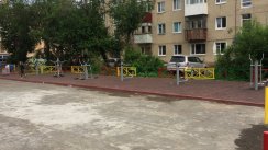 Площадка для воркаута в городе Петропавловск-Камчатский №5450 Средняя Хомуты фото