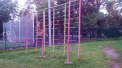 Площадка для воркаута в городе Колпино №4164 Средняя Советская фото