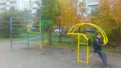 Площадка для воркаута в городе Новосибирск №4287 Маленькая Советская фото