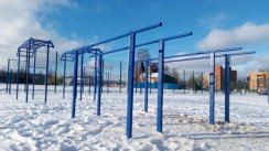 Площадка для воркаута в городе Санкт-Петербург №4848 Маленькая Советская фото
