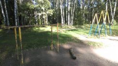 Площадка для воркаута в городе Балашиха №5501 Средняя Советская фото