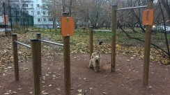 Площадка для воркаута в городе Москва №4508 Маленькая Современная фото