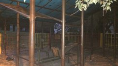 Площадка для воркаута в городе Москва №4333 Маленькая Современная фото