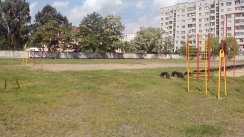 Площадка для воркаута в городе Брест №1837 Маленькая Советская фото