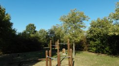 Площадка для воркаута в городе Биббиано №1831 Средняя Советская фото