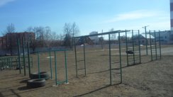 Площадка для воркаута в городе Раменское №2725 Средняя Советская фото