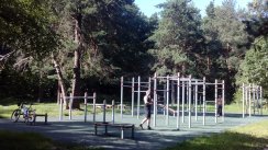 Площадка для воркаута в городе Москва №4062 Большая Хомуты фото