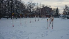 Площадка для воркаута в городе Пенза №426 Большая Советская фото