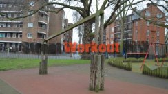 Площадка для воркаута в городе Лондон №3812 Средняя Советская фото