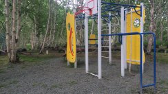 Площадка для воркаута в городе Петропавловск-Камчатский №5387 Маленькая Советская фото