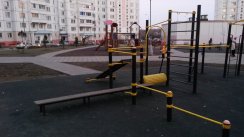 Площадка для воркаута в городе Москва №2790 Маленькая Хомуты фото
