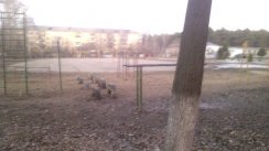 Площадка для воркаута в городе Жуковский №2749 Маленькая Советская фото