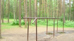 Площадка для воркаута в городе Санкт-Петербург №56 Средняя Легендарная фото