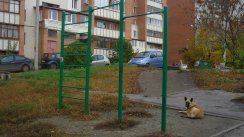 Площадка для воркаута в городе Пенза №491 Маленькая Современная фото