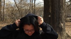 Фотографии Lumina