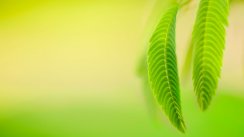 Фотографии Ksenii