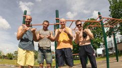 Фотографии Dragon