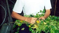 Фотографии miRR