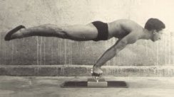 Shoulder and Chest Exercise - Planche Tutorial