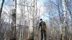 WorkOut. Стодневка, день 18.