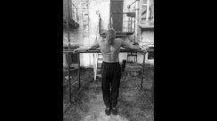 Брусья 43 повтора, на 19.09.19 г.