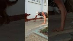 65 лет - максимум отжиманий от пола, вторая сотка, 20.08.2022