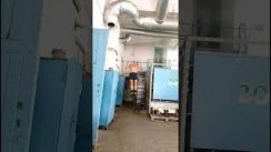 Подтягивания 33. 5 июля 2024 г.