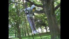 Max Muscle up set on rings. 11 reps.