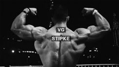 VG & STIPKE [Motivation]