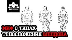 Миф о типах телосложения Шелдона (эктоморф, мезоморф, эндоморф)