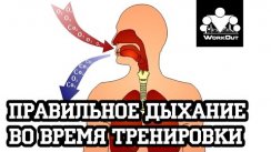 Правильное дыхание при выполнении упражнений