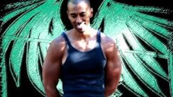 ZEF - Steadfast | Street Workout 2016