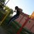 mtnedvid