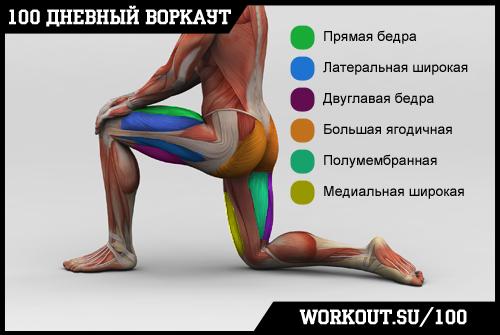 День 54. Ещё раз про Выпады