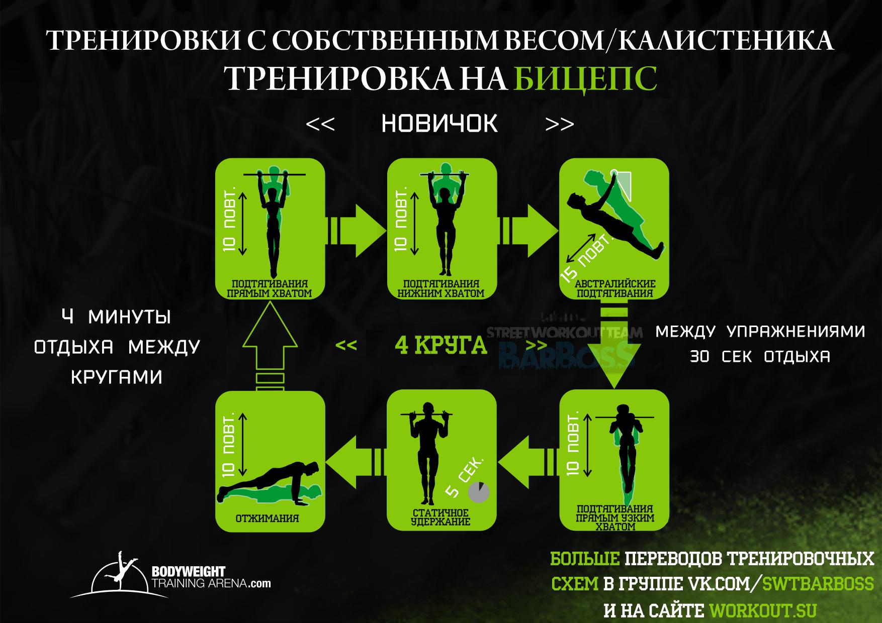 Тренировочные программы Bodyweighttrainarena