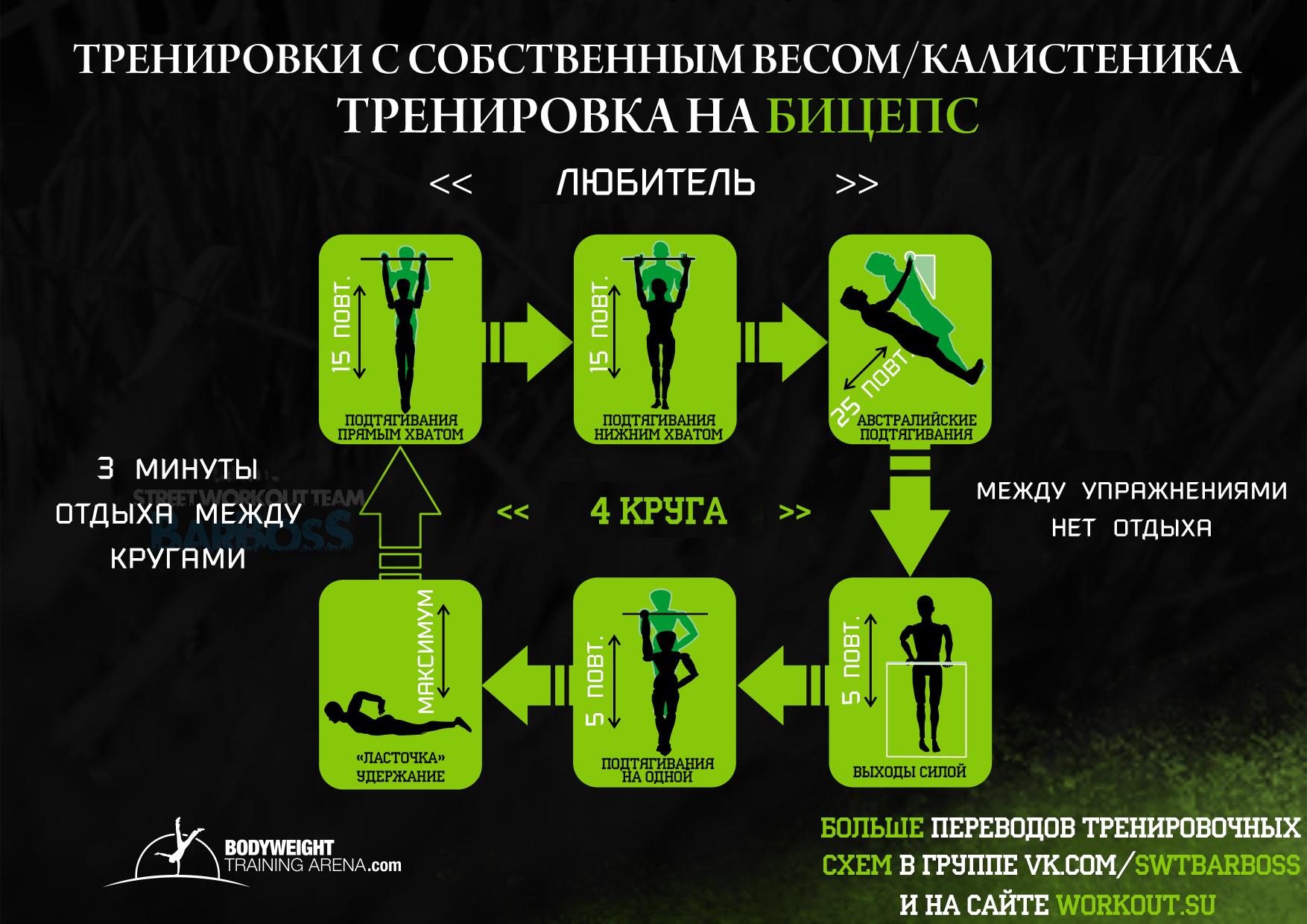 Тренировочные программы Bodyweighttrainarena