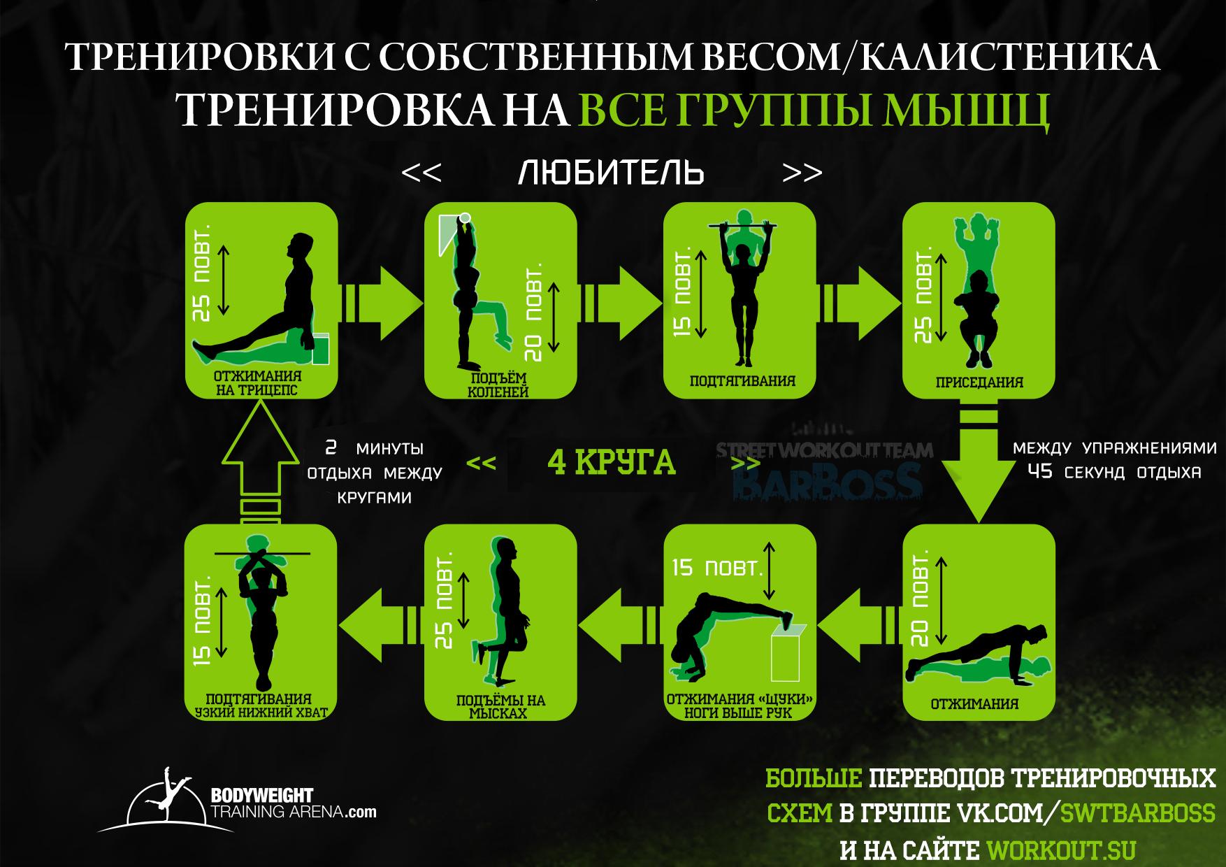Тренировочные программы Bodyweighttrainarena