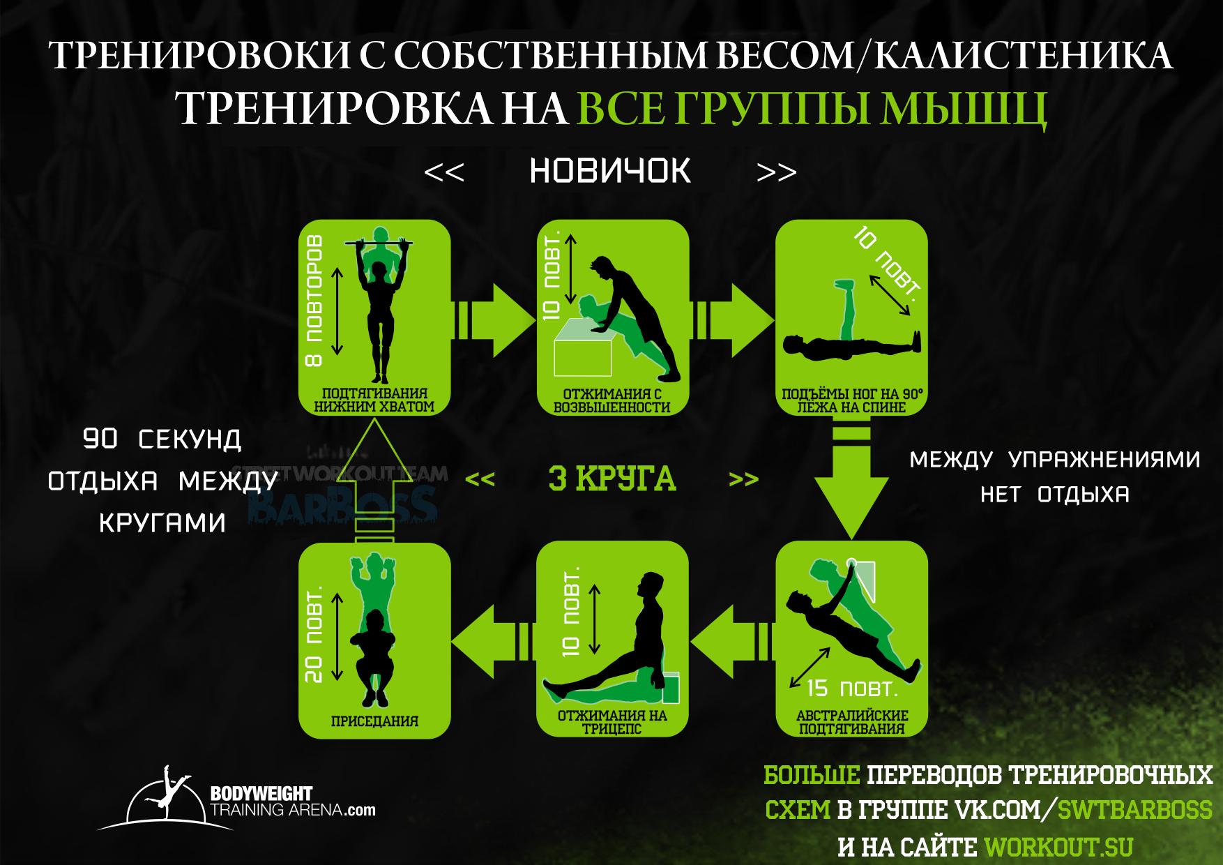 Тренировочные программы Bodyweighttrainarena Тренировочные программы Bodyweighttrainarena