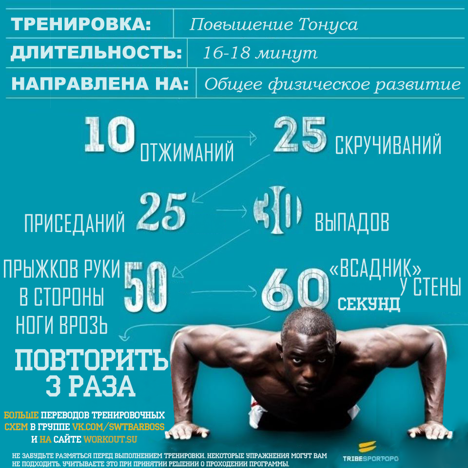 Тренировочные программы от TribeSports