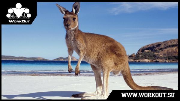 Программа 30 подтягиваний на турнике за месяц!