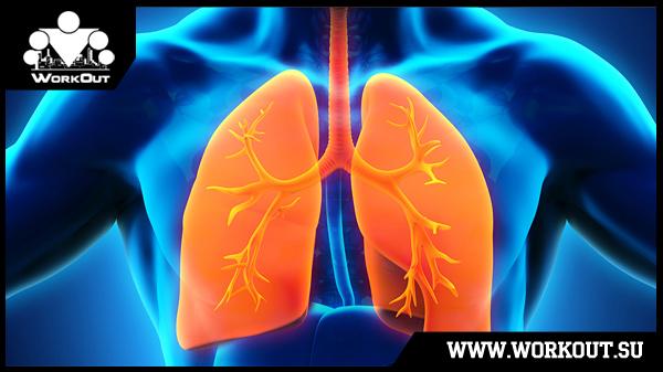 Как правильно дышать во время упражнений? Как правильно дышать во время упражнений?