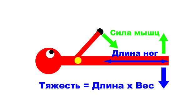 Передний вис по программе деда Архимеда Передний вис по программе деда Архимеда