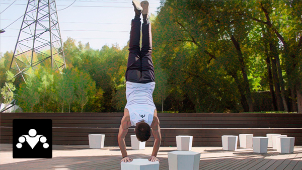 Школа Стрит Воркаута: Продвинутый Курс Школа Стрит Воркаута: Продвинутый Курс